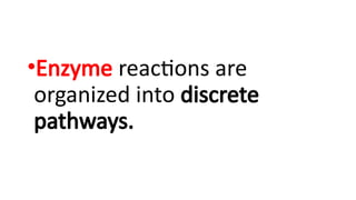 •Enzyme reactions are
organized into discrete
pathways.
 
