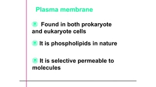 Plasma membrane
 Found in both prokaryote
and eukaryote cells
 It is phospholipids in nature
 It is selective permeable to
molecules
 