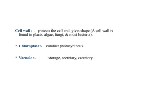 Cell wall : - protects the cell and gives shape (A cell wall is
found in plants, algae, fungi, & most bacteria).
 Chloroplast :- conduct photosynthesis
 Vacuole :- storage, secretary, excretory
 