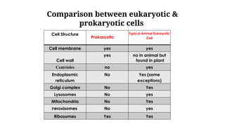 Cell Structure
Prokaryotic Cell
Typical Animal Eukaryotic
Cell
Cell membrane yes yes
Cell wall
yes no in animal but
found in plant
Centrioles no yes
Endoplasmic
reticulum
No Yes (some
exceptions)
Golgi complex No Yes
Lysosomes No yes
Mitochondria No Yes
Peroxisomes No yes
Ribosomes Yes Yes
Comparison between eukaryotic &
prokaryotic cells
 