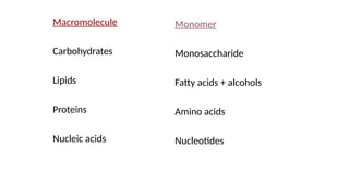 Macromolecule
Carbohydrates
Lipids
Proteins
Nucleic acids
Monomer
Monosaccharide
Fatty acids + alcohols
Amino acids
Nucleotides
 