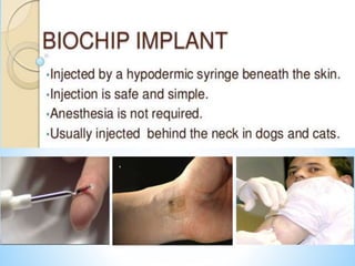 Introduction to biochips | PPTX