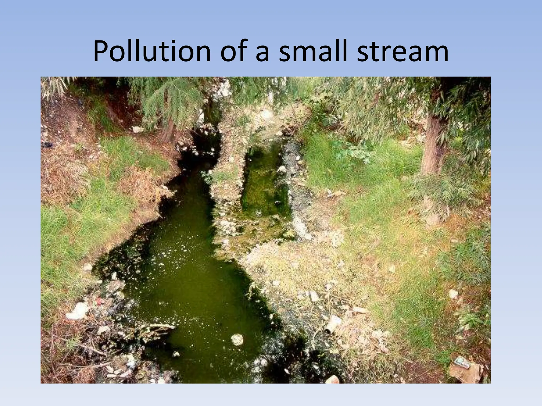 Pollution of a small stream
 