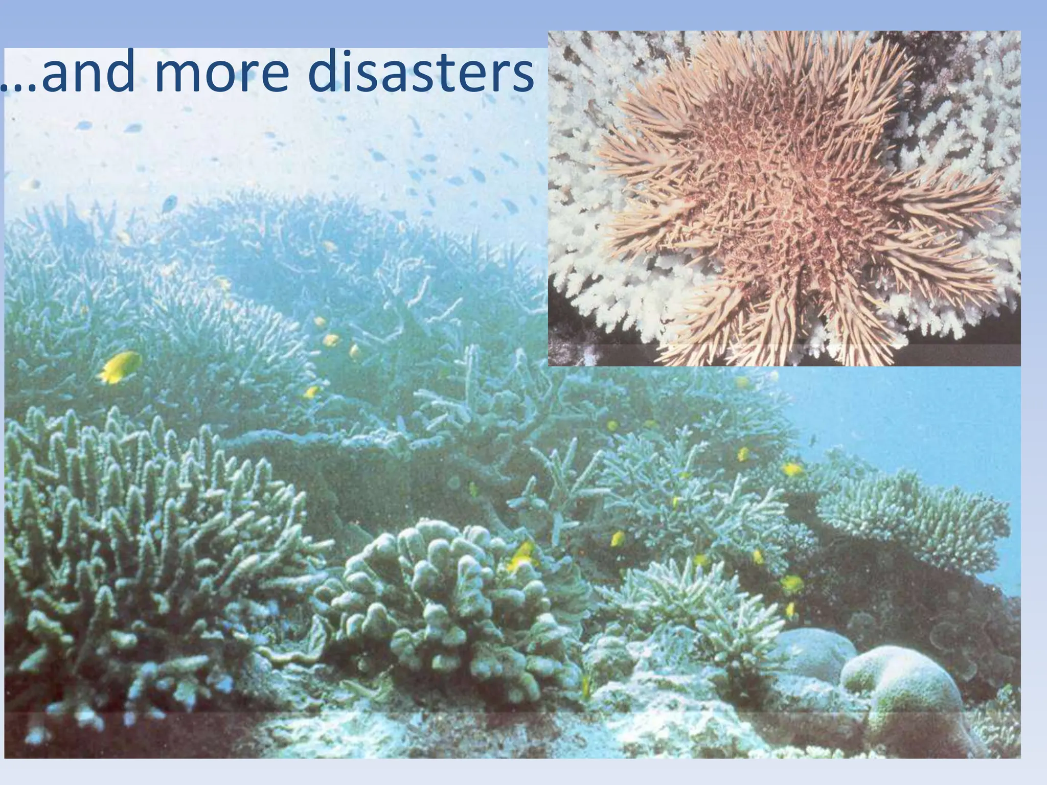 …and more disasters
 