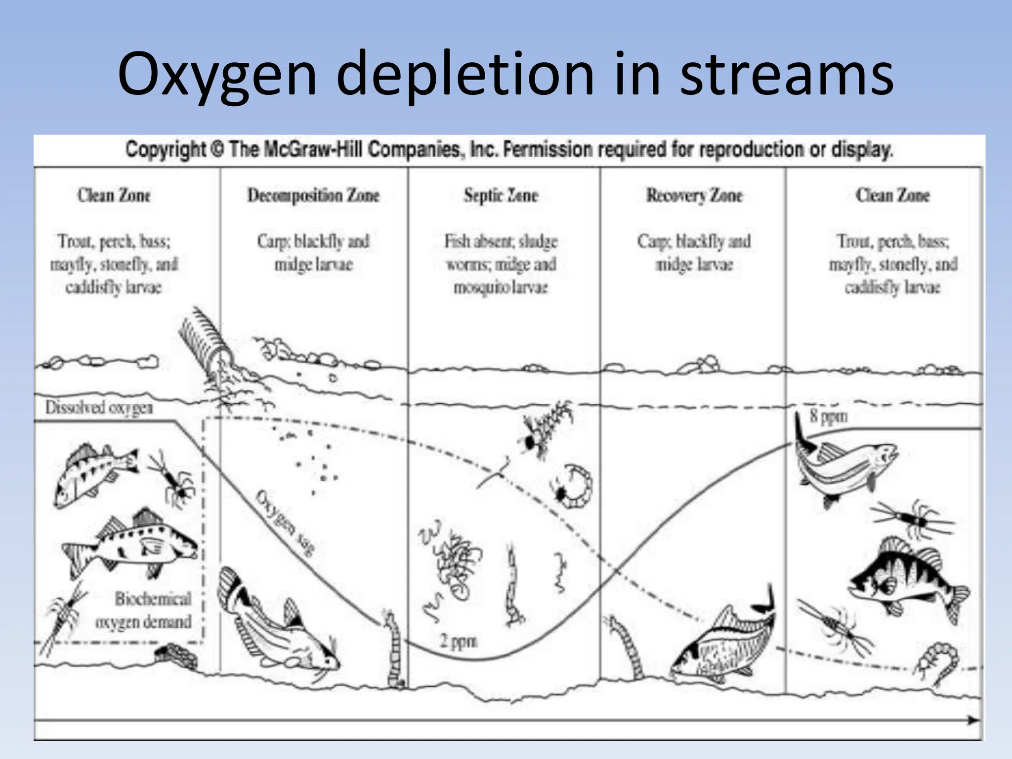 Oxygen depletion in streams
 