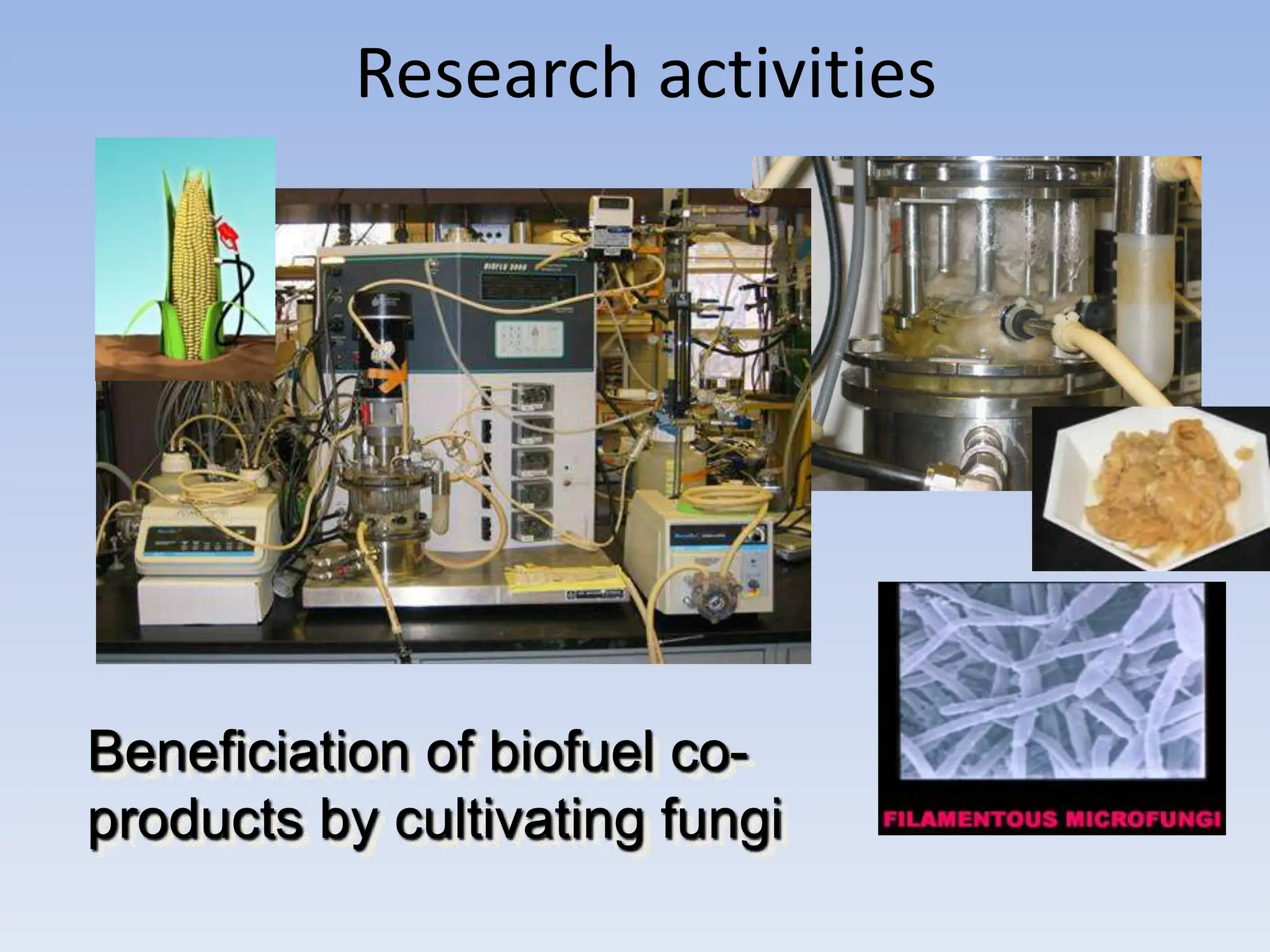 Research activities
Beneficiation of biofuel co-
products by cultivating fungi
 