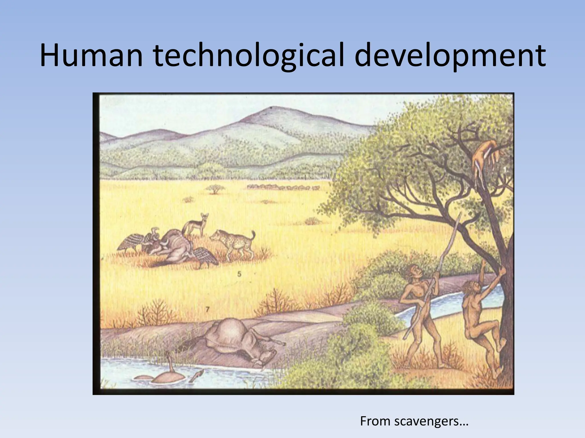 Human technological development
From scavengers…
 