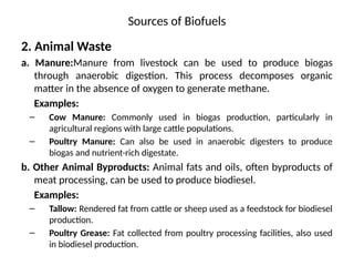 Sources of Biofuels
2. Animal Waste
a. Manure:Manure from livestock can be used to produce biogas
through anaerobic digestion. This process decomposes organic
matter in the absence of oxygen to generate methane.
Examples:
– Cow Manure: Commonly used in biogas production, particularly in
agricultural regions with large cattle populations.
– Poultry Manure: Can also be used in anaerobic digesters to produce
biogas and nutrient-rich digestate.
b. Other Animal Byproducts: Animal fats and oils, often byproducts of
meat processing, can be used to produce biodiesel.
Examples:
– Tallow: Rendered fat from cattle or sheep used as a feedstock for biodiesel
production.
– Poultry Grease: Fat collected from poultry processing facilities, also used
in biodiesel production.
 