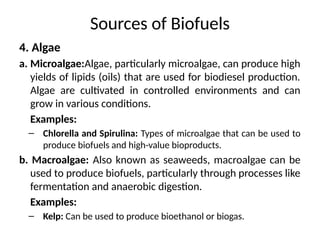 Sources of Biofuels
4. Algae
a. Microalgae:Algae, particularly microalgae, can produce high
yields of lipids (oils) that are used for biodiesel production.
Algae are cultivated in controlled environments and can
grow in various conditions.
Examples:
– Chlorella and Spirulina: Types of microalgae that can be used to
produce biofuels and high-value bioproducts.
b. Macroalgae: Also known as seaweeds, macroalgae can be
used to produce biofuels, particularly through processes like
fermentation and anaerobic digestion.
Examples:
– Kelp: Can be used to produce bioethanol or biogas.
 