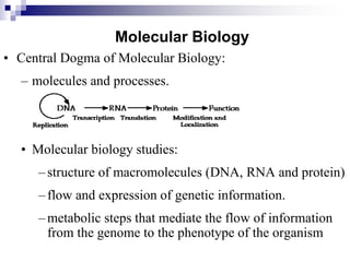 Molecular Biology
• Central Dogma of Molecular Biology:
– molecules and processes.
• Molecular biology studies:
–structure of macromolecules (DNA, RNA and protein)
–flow and expression of genetic information.
–metabolic steps that mediate the flow of information
from the genome to the phenotype of the organism
 