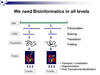 Transcription
DNA
5’ 3’
mRNA Splicing
Translation
Poly-peptide
Folding
Protein
• Transport / Localization
• Oligomerization
• Post-Translational Modification
Function Function
We need Bioinformatics in all levels
 