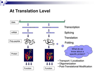 Transcription
DNA
5’ 3’
mRNA Splicing
Translation
Poly-peptide
Folding
Protein
• Transport / Localization
• Oligomerization
• Post-Translational Modification
Function Function
At Translation Level
What do we
know about a
specific protein?
 