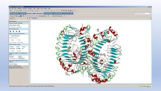 Introduction to bioinformatics.pptx