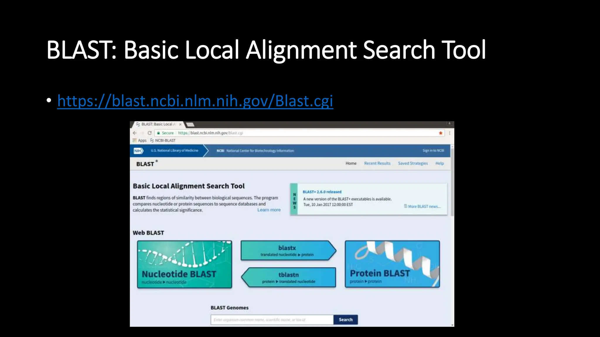 BLAST: Basic Local Alignment Search Tool
• https://blast.ncbi.nlm.nih.gov/Blast.cgi
 