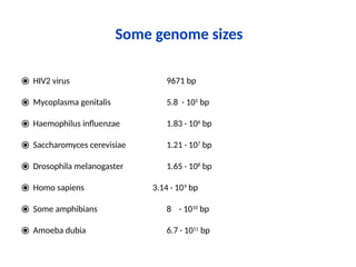 Some genome sizes
⦿ HIV2 virus 9671 bp
⦿ Mycoplasma genitalis 5.8 · 105
bp
⦿ Haemophilus influenzae 1.83 · 106
bp
⦿ Saccharomyces cerevisiae 1.21 · 107
bp
⦿ Drosophila melanogaster 1.65 · 108
bp
⦿ Homo sapiens 3.14 · 109
bp
⦿ Some amphibians 8 · 1010
bp
⦿ Amoeba dubia 6.7 · 1011
bp
 