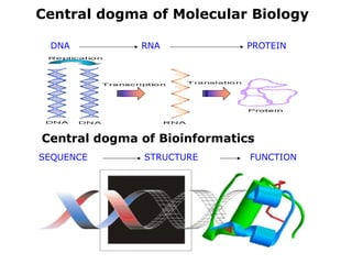Central dogma of Molecular Biology
Central dogma of Bioinformatics
SEQUENCE STRUCTURE FUNCTION
DNA RNA PROTEIN
 