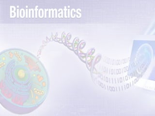 introduction to bioinformatics (1)-2.ppt