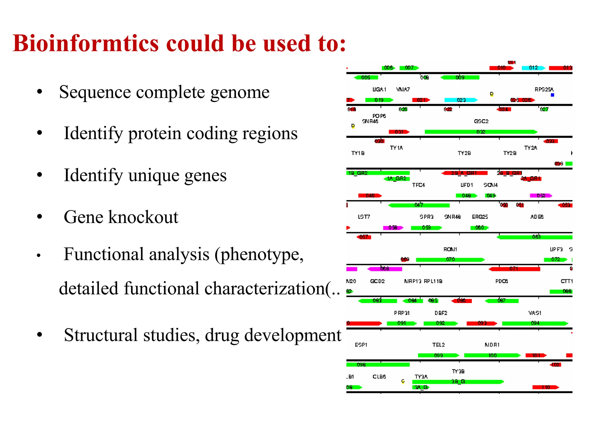 Bioinformtics could be used to:
• Sequence complete genome
• Identify protein coding regions
• Identify unique genes
• Gene knockout
• Functional analysis (phenotype,
detailed functional characterization)..
• Structural studies, drug development
 