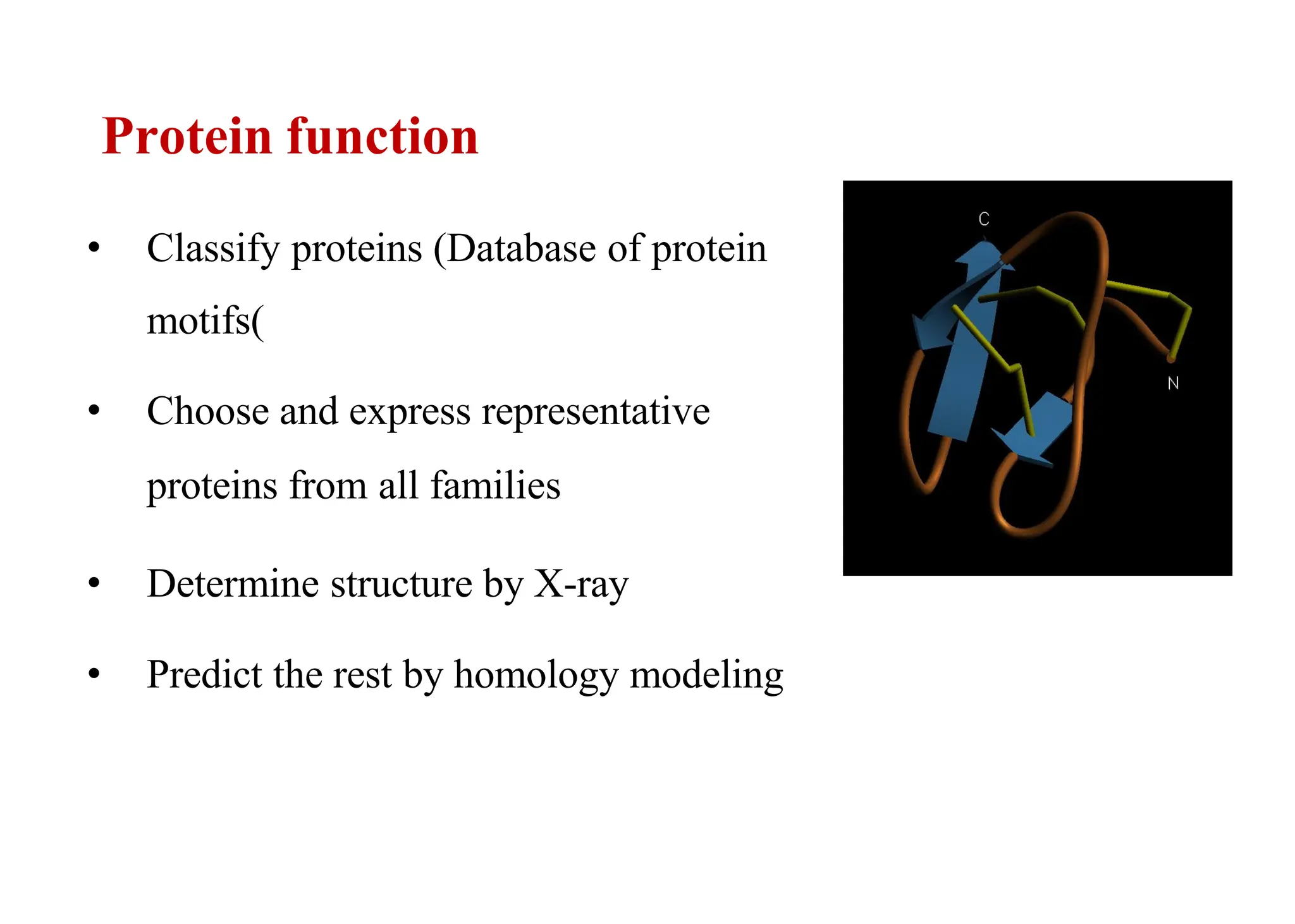 • Classify proteins (Database of protein
motifs)
• Choose and express representative
proteins from all families
• Determine structure by X-ray
• Predict the rest by homology modeling
Protein function
 