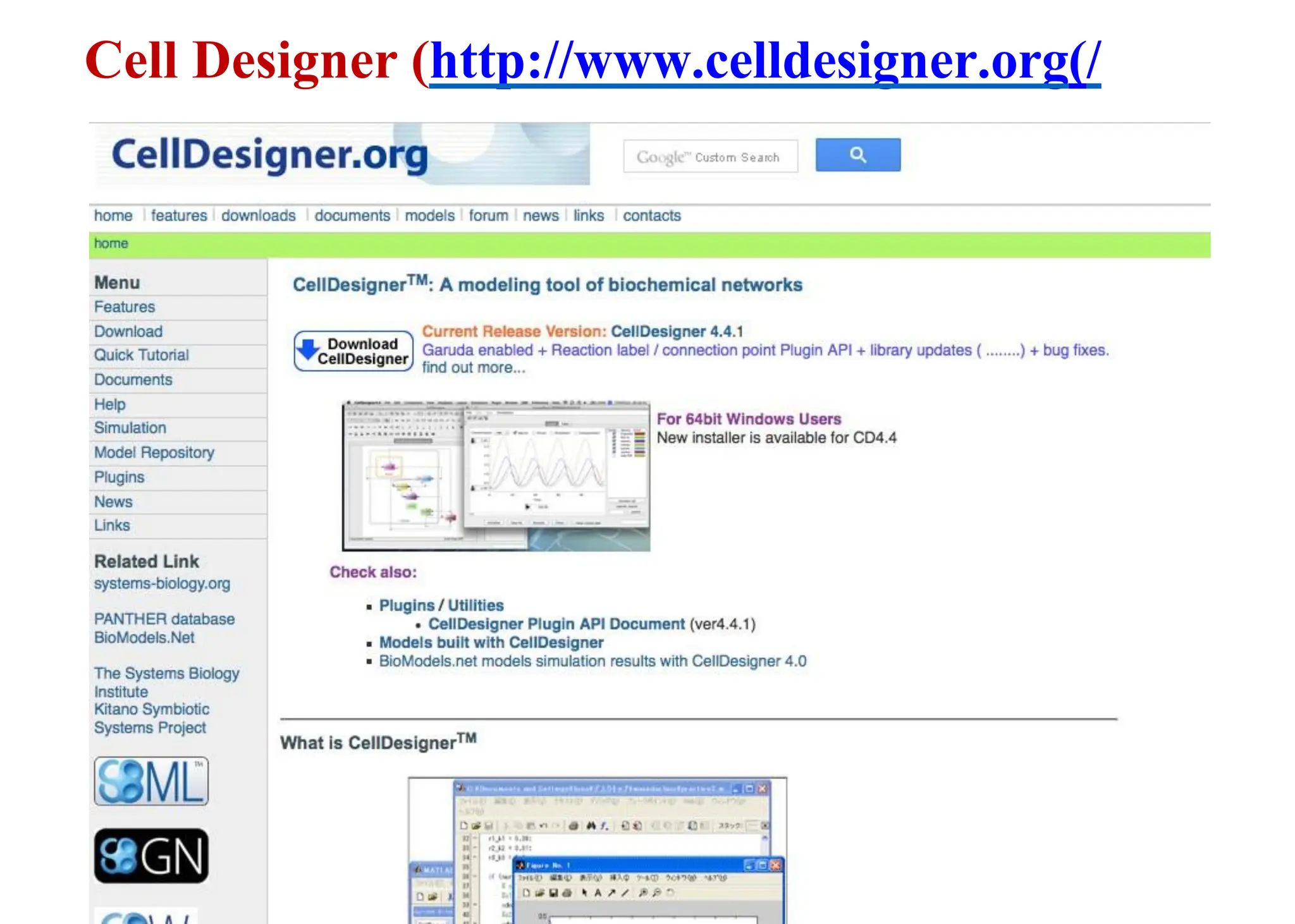 Cell Designer (http://www.celldesigner.org)/
47
 