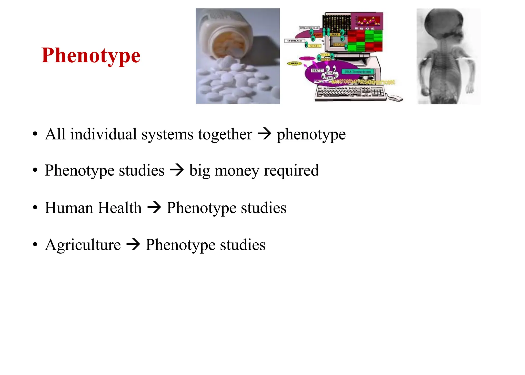 Phenotype
• All individual systems together  phenotype
• Phenotype studies  big money required
• Human Health  Phenotype studies
• Agriculture  Phenotype studies
 