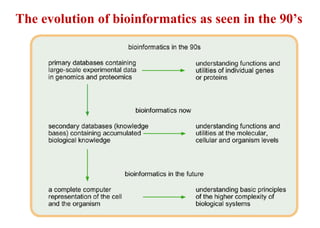 The evolution of bioinformatics as seen in the 90’s
 