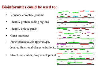 Bioinformtics could be used to:
• Sequence complete genome
• Identify protein coding regions
• Identify unique genes
• Gene knockout
• Functional analysis (phenotype,
detailed functional characterization)..
• Structural studies, drug development
 