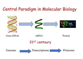 Central Paradigm in Molecular Biology
mRNA
Gene (DNA) Protein
21ST centaury
Genome Transcriptome Proteome
 