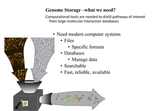 Genome Storage –what we need?
Computational tools are needed to distill pathways of interest
from large molecular interaction databases
• Need modern computer systems
• Files
• Specific formats
• Databases
• Manage data
• Searchable
• Fast, reliable, available
 