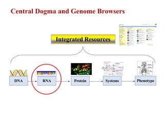 Central Dogma and Genome Browsers
DNA RNA Protein Systems Phenotype
Integrated Resources
 