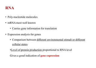 RNA
• Poly-nucleotide molecules
• mRNAmost well known
• Carries gene information for translation
• Expression analysis for genes
• Comparison between different environmental stimuli or different
cellular states
•Level of protein production proportional to RNA level
Gives a good indication of gene expression
 