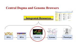 Central Dogma and Genome Browsers
DNA RNA Protein Systems Phenotype
Integrated Resources
 