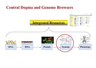 Central Dogma and Genome Browsers
DNA RNA Protein Systems Phenotype
Integrated Resources
 