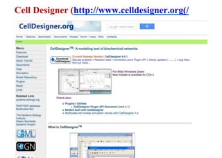Cell Designer (http://www.celldesigner.org)/
47
 