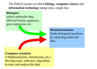 The field of science in which biology, computer science and
information technology merge into a single line
Biologists
collect molecular data:
DNA& Protein sequences,
gene expression, etc.
Bioinformaticians
Study biological questions
by analyzing molecular
data
Computer scientists
(+Mathematicians, Statisticians, etc.)
Develop tools, softwares, algorithms
to store and analyze the data.
 