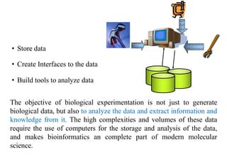 • Store data
01001011
01100101
01010101010
010101010101
011
010
010
010
000
• Create Interfaces to the data
• Build tools to analyze data
The objective of biological experimentation is not just to generate
biological data, but also to analyze the data and extract information and
knowledge from it. The high complexities and volumes of these data
require the use of computers for the storage and analysis of the data,
and makes bioinformatics an complete part of modern molecular
science.
 