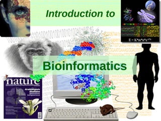 Introduction to




Bioinformatics


                  1
 