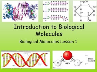 Introduction to Biological
Molecules
Biological Molecules Lesson 1
 