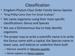 Classification
• Kingdom Phylum Class Order Family Genus Species
• “King Phillip Came Over For Great Scallops”

• We name organisms using their most specific
classifications: Genus and Species
• We use a Dichotomous Key to help identify
organisms
• The proper way to write a scientific name is to write
the Genus name with a capital, the Species name in
lower case, and italicize or underline them both
– Morone saxatilis or Morone saxatilis
– Homo sapiens or Homo sapiens

 