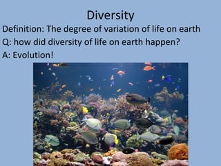 Diversity

Definition: The degree of variation of life on earth
Q: how did diversity of life on earth happen?
A: Evolution!

 