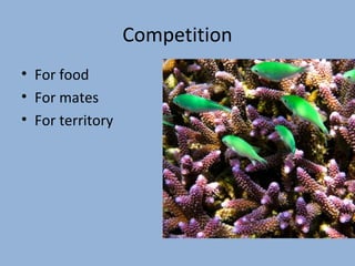 Competition
• For food
• For mates
• For territory

 