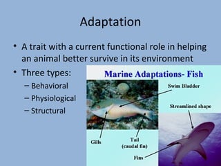 Adaptation
• A trait with a current functional role in helping
an animal better survive in its environment
• Three types:
– Behavioral
– Physiological
– Structural

 