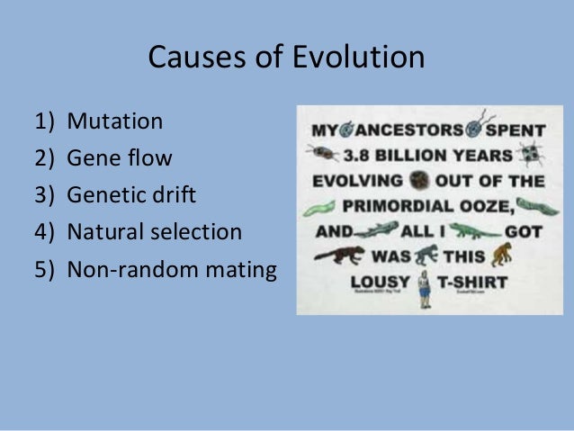 Natural Selection Competition Natural Selection Competition