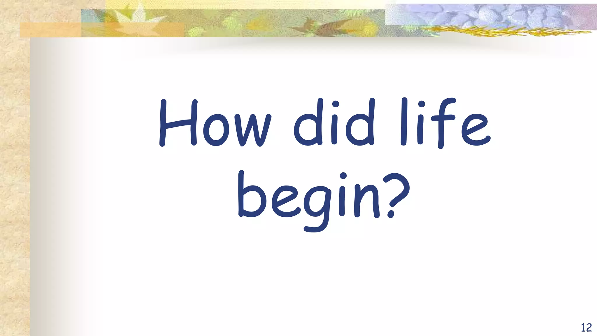 How did life
begin?
12
 