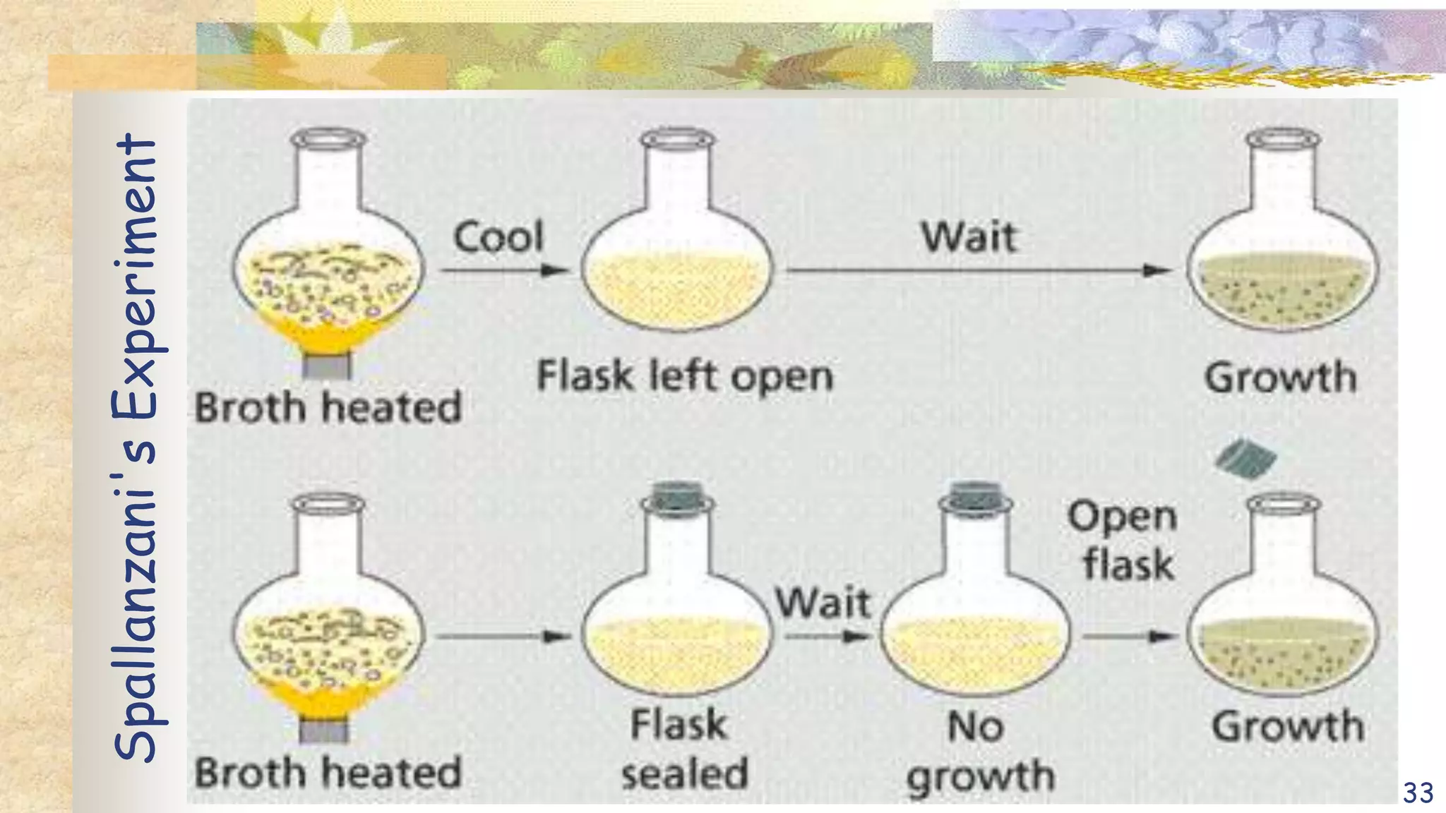 Spallanzani's
Experiment
33
 