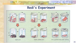 Redi's Experiment
28
 
