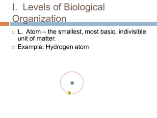 I.  Levels of Biological OrganizationL.  Atom – the smallest, most basic, indivisible unit of matter.  Example: Hydrogen atom