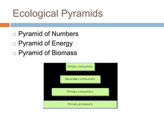 Ecological Pyramids	Pyramid of NumbersPyramid of EnergyPyramid of Biomass