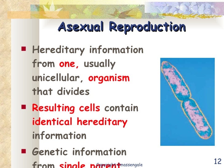 the invisible orientation an introduction to asexuality