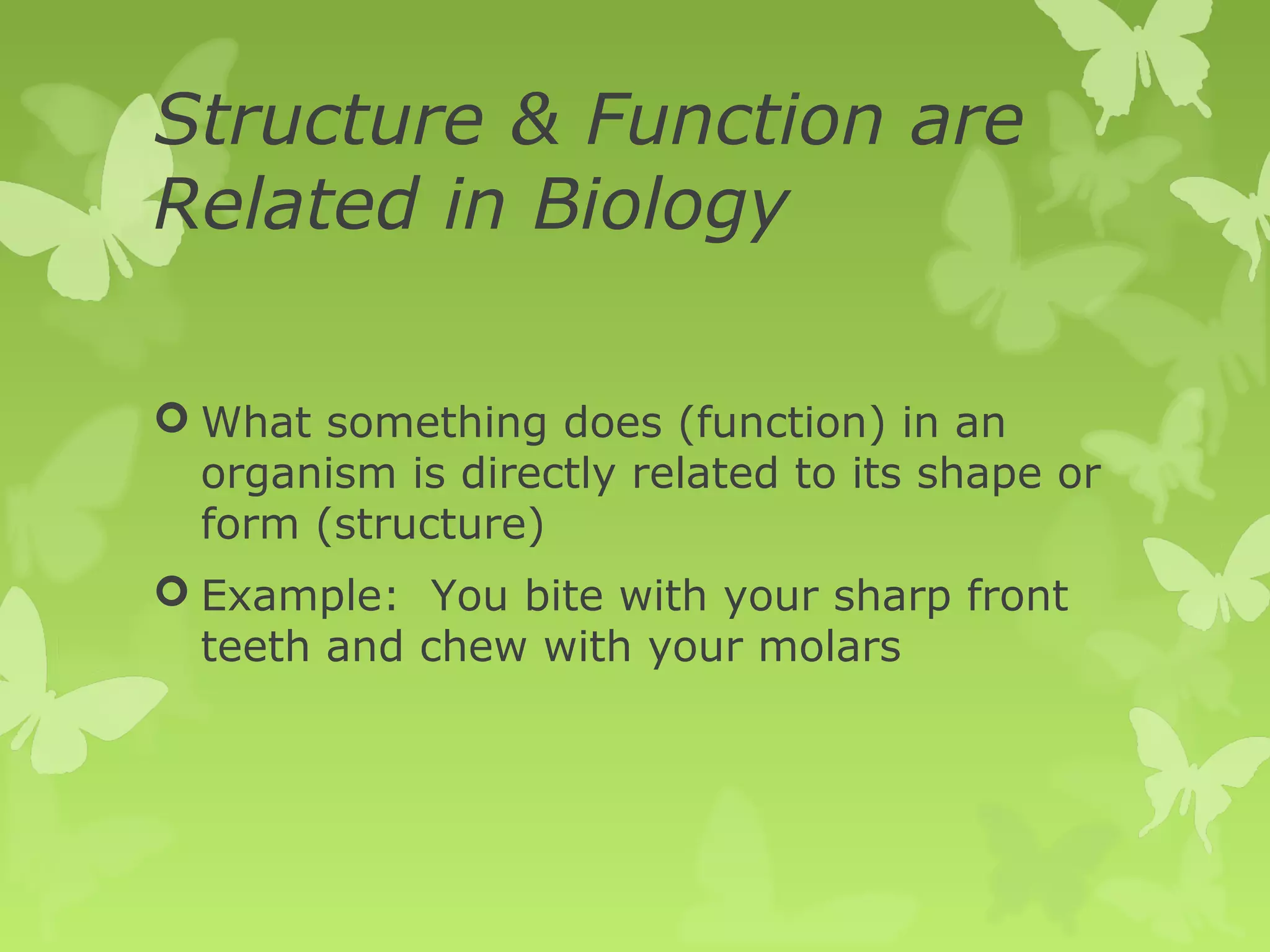 Structure & Function are
Related in Biology

 What something does (function) in an
  organism is directly related to its shape or
  form (structure)
 Example: You bite with your sharp front
  teeth and chew with your molars
 